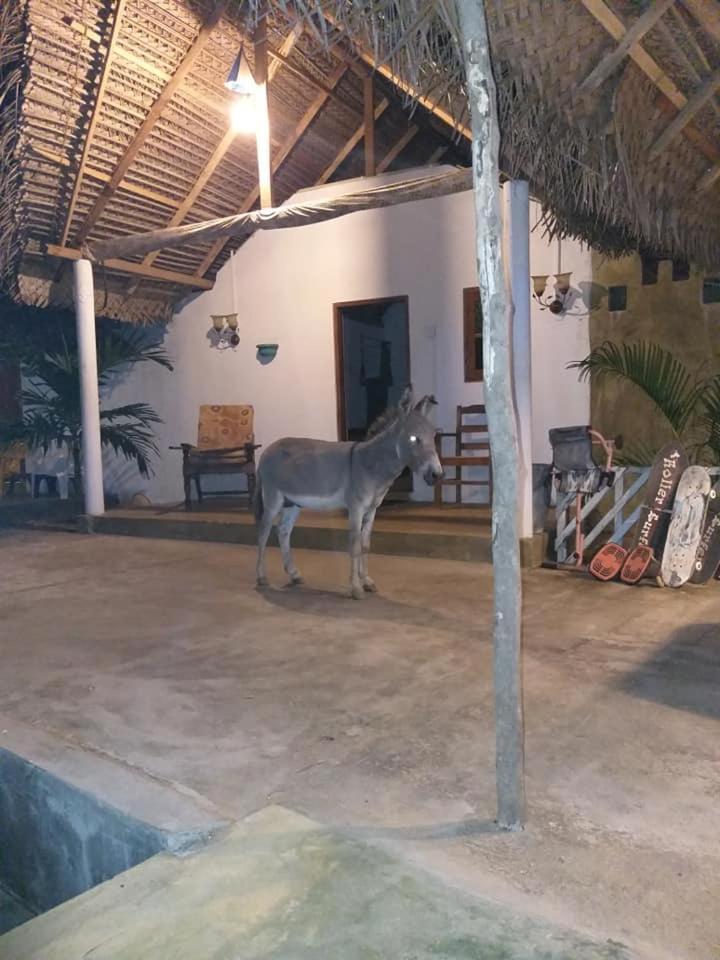 Kite Bay Villa Kalpitiya Exterior foto