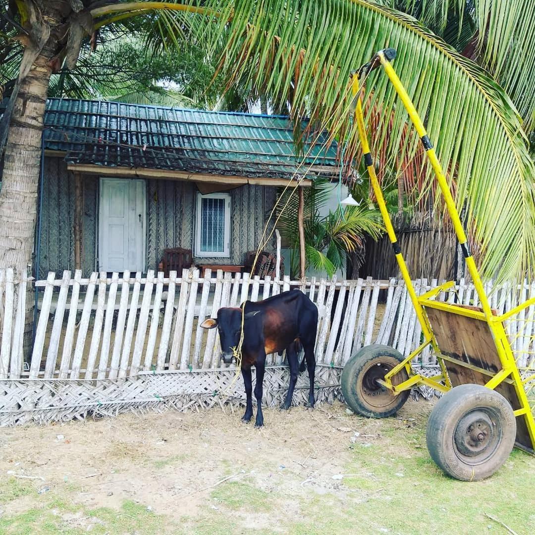 Kite Bay Villa Kalpitiya Exterior foto