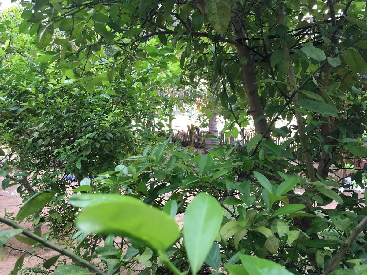 Kite Bay Villa Kalpitiya Exterior foto
